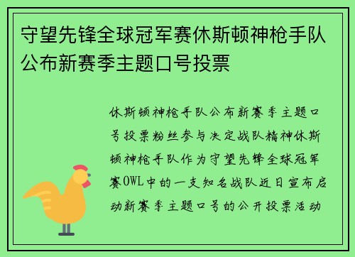 守望先锋全球冠军赛休斯顿神枪手队公布新赛季主题口号投票